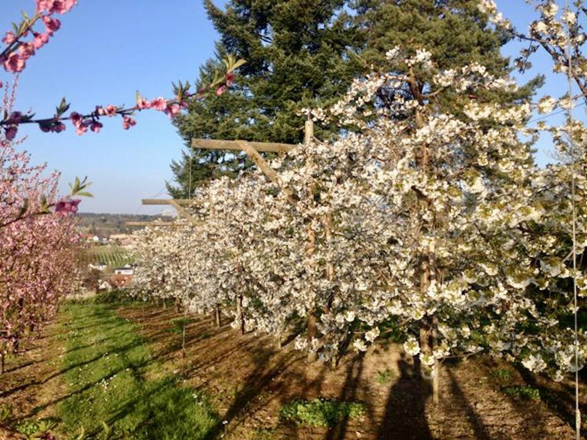 Ferienwohnung Seeblick Nonnenhorn Zewnętrze zdjęcie